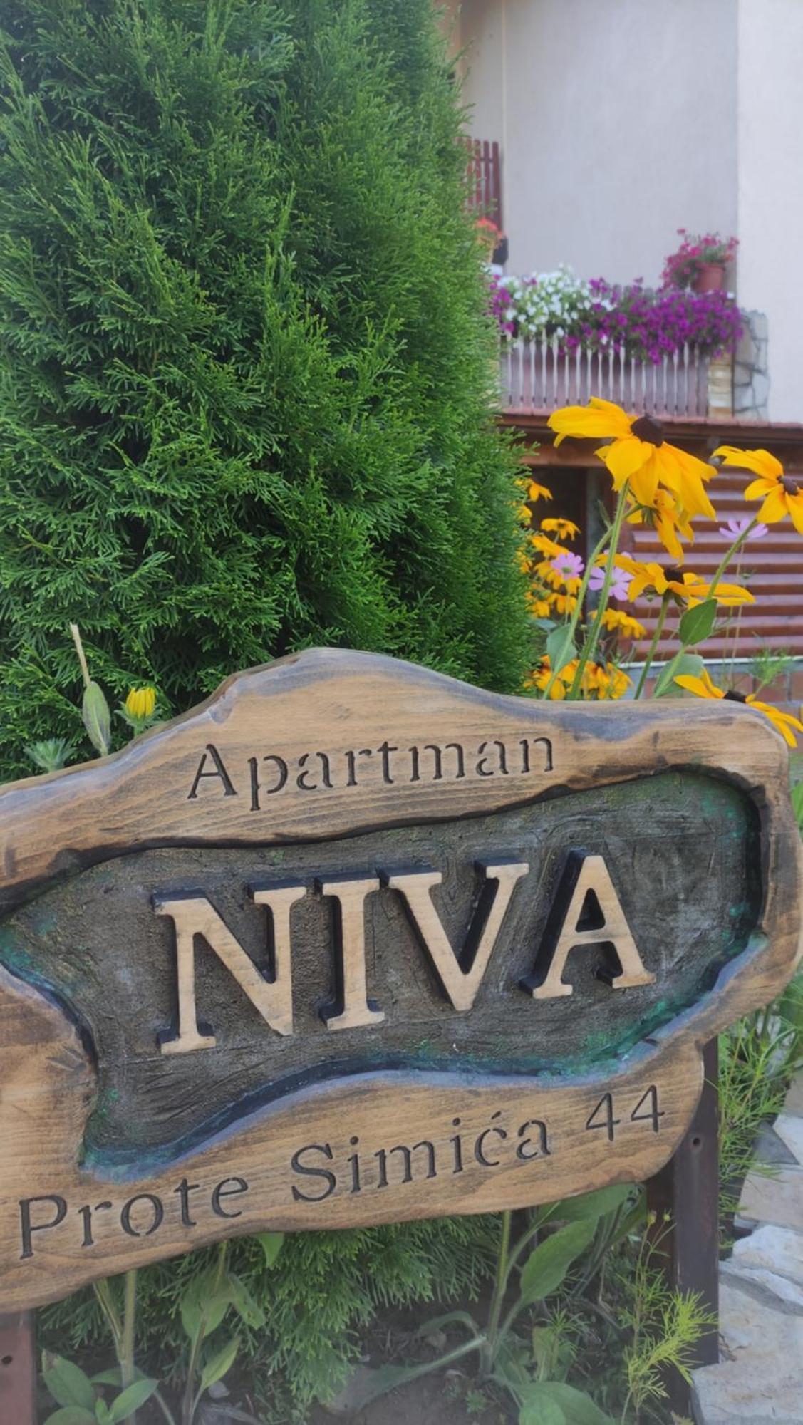 Apartment Niva Zlatibor Exterior photo